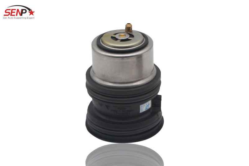 Load image into Gallery viewer, SENP AUTO PARTS  Engine Coolant Thermostat for Porsche Cayenne Panamera OEM 94810603401