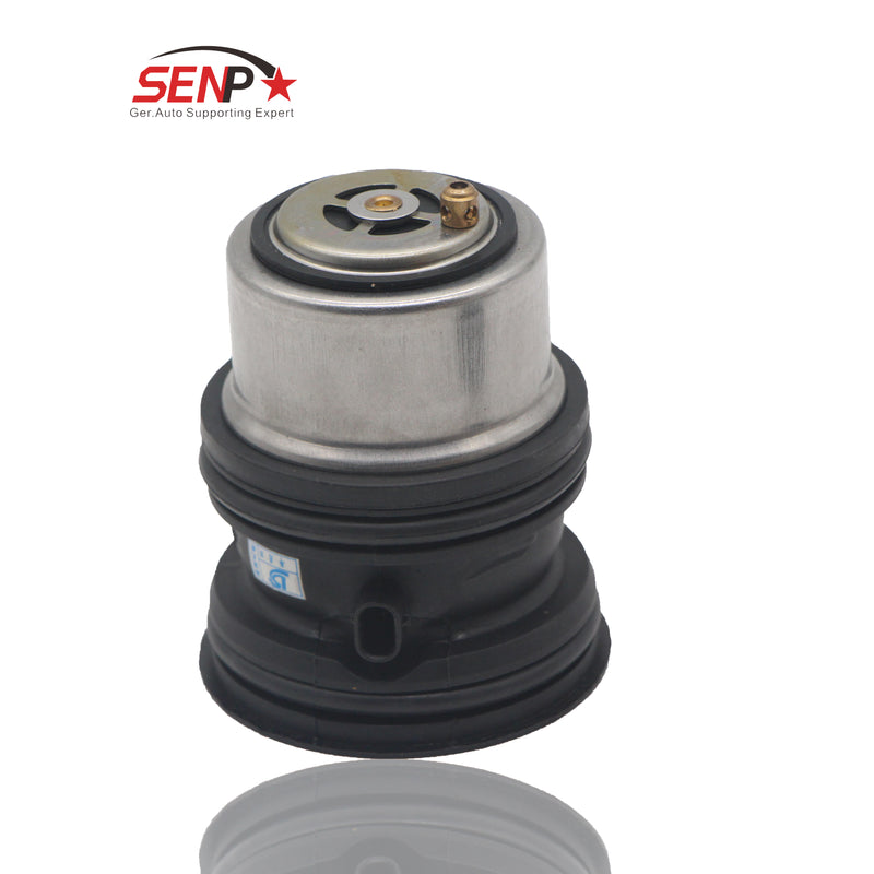 Load image into Gallery viewer, SENP AUTO PARTS  Engine Coolant Thermostat for Porsche Cayenne Panamera OEM 94810603401