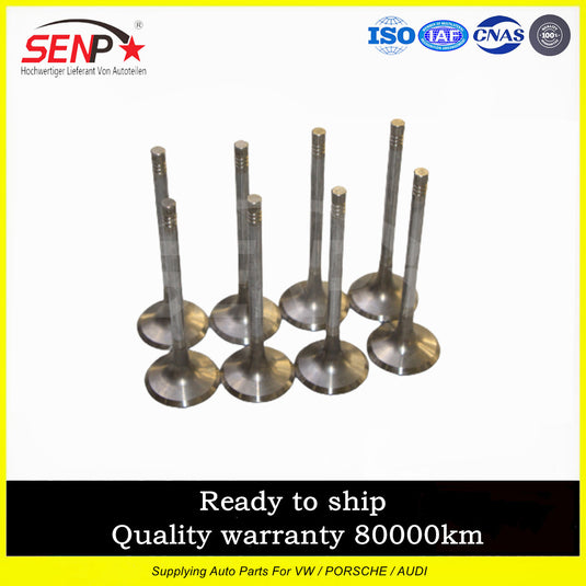 06J109611DP Fit for Audi for VW Engine Intake Valves Exhaust Valves 16pc Kit