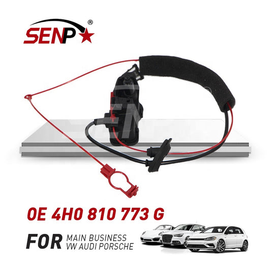 SENP fuel Supply System  Fuel Ttank Mmotor For Audi OEM 4H0 810 773 G
