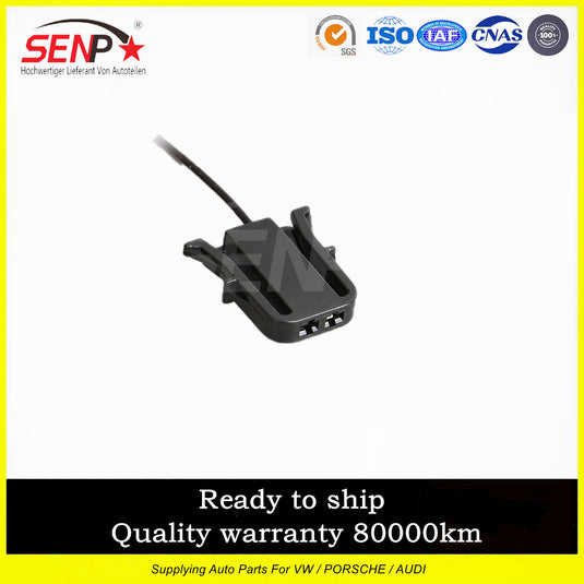 SENP Engine Fuel Pump Assembly 4H0906089A Fuel Pump For Audi