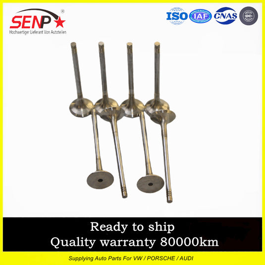 06J109611DP Fit for Audi for VW Engine Intake Valves Exhaust Valves 16pc Kit