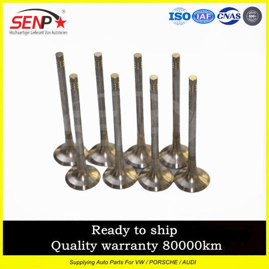 06J109611DP Fit for Audi for VW Engine Intake Valves Exhaust Valves 16pc Kit